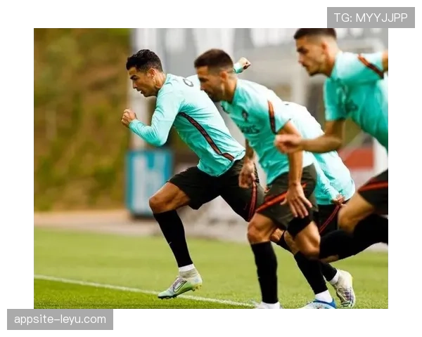 葡萄牙国家队焕发新生：年轻力量崛起，开启辉煌新篇章