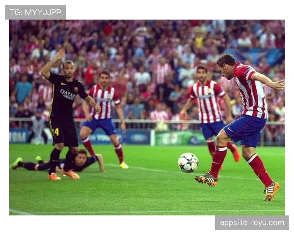 科克球队再创佳绩，球员卓越表现铸就胜利基石