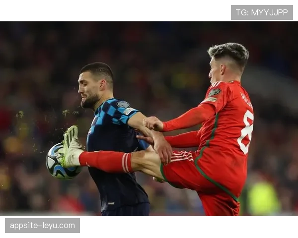 威尔士主帅佩奇：目标明确，全力冲击2024欧锦赛资格