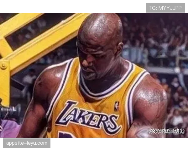 巴克利对比内线篮板贡献提升，强化球队二次进攻能力