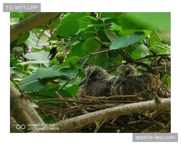 练俊杰出门随手一包就能开我半年工资，这种人类差距怎么活